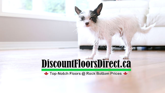 Discount Floors Direct Promo VIdeo